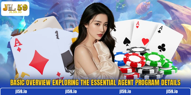 Basic overview exploring the essential agent program details