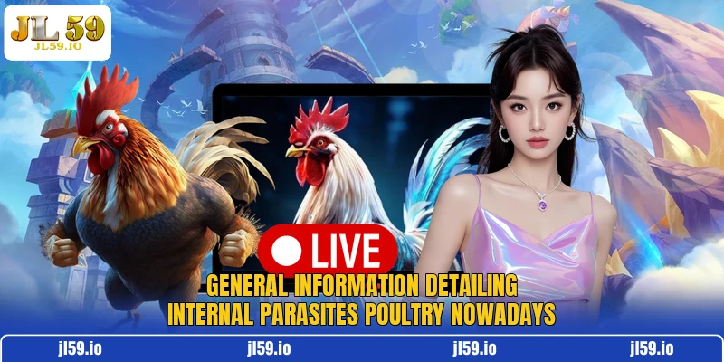 General information detailing internal parasites poultry nowadays
