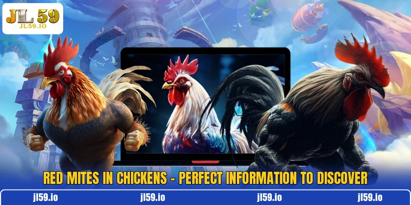 Red Mites In Chickens - Perfect Information To Discover